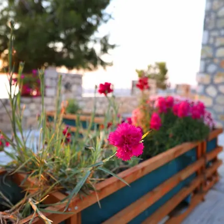 Dena Lejlighed Vlorë