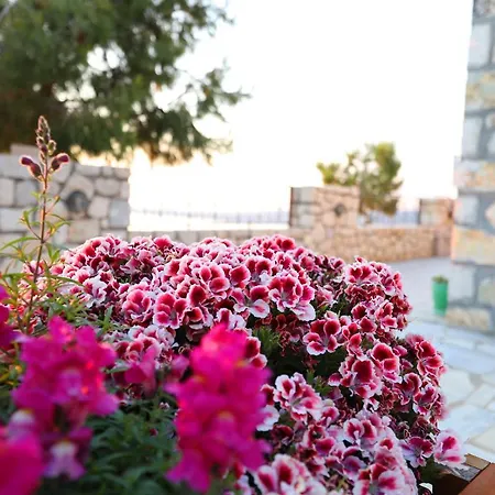 Dena Apartmán