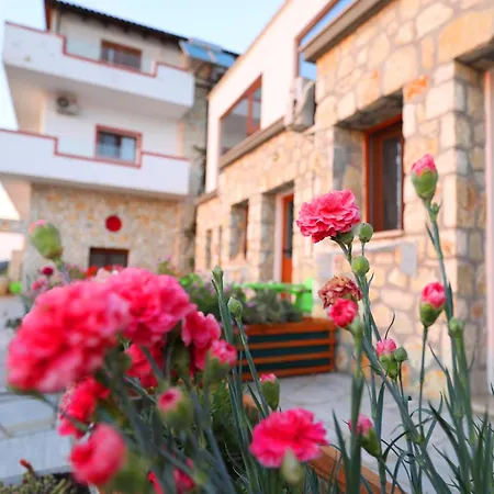Dena Vlorë